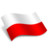 Poland Polska Flag